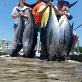 Oregon Inlet tuna fishing