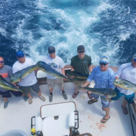 Charter Fishing for dolphin