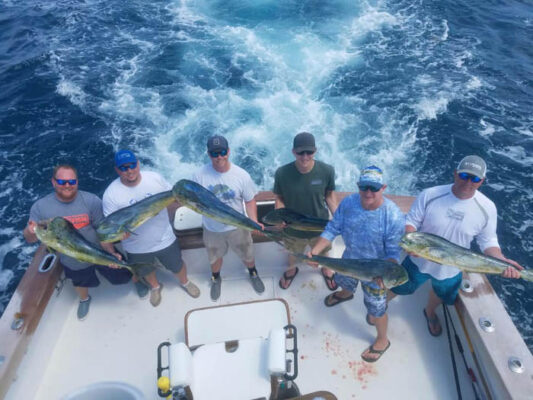 Charter Fishing for dolphin