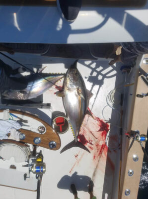 Ocean City tuna fishing charter