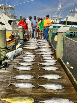 Tuna charters in Pirates Cove, North Carolina
