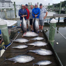Pirates Cove Marina, North Carolina tuna sport fishing
